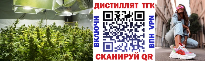 ТГК Wax Приволжск